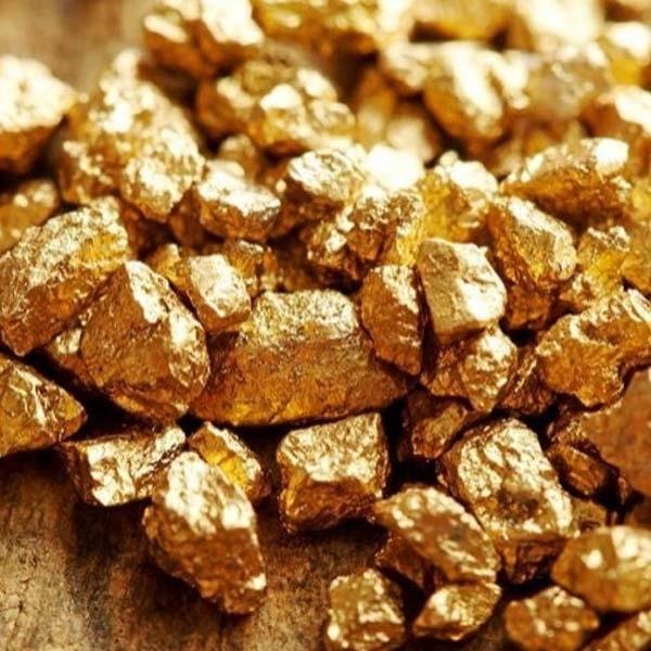 How Is One Natural Gold Detector Different From Another?