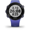 Garmin Forerunner® 45S Iris Running Smartwatch